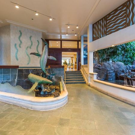 @ Marbella Lane - Oceanview Suite Steps To Beach Honolulu Esterno foto